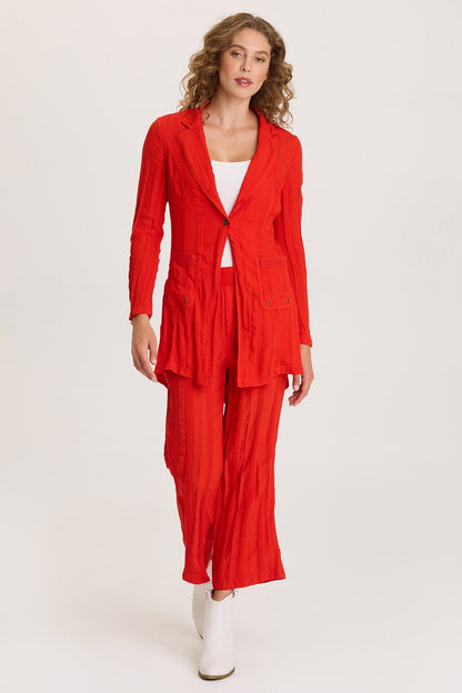 Textured Stripe Pull-On Flared Leg Carruth Crop Pant Whiplash - XCVI