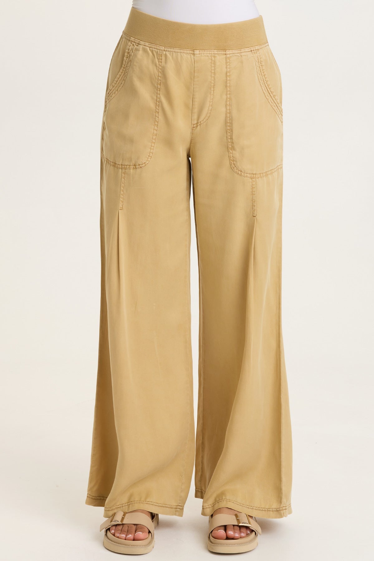 Dacia Tencel Twill Pleated Wide Leg Pull-On Waist Pant Sepia Pigment - XCVI