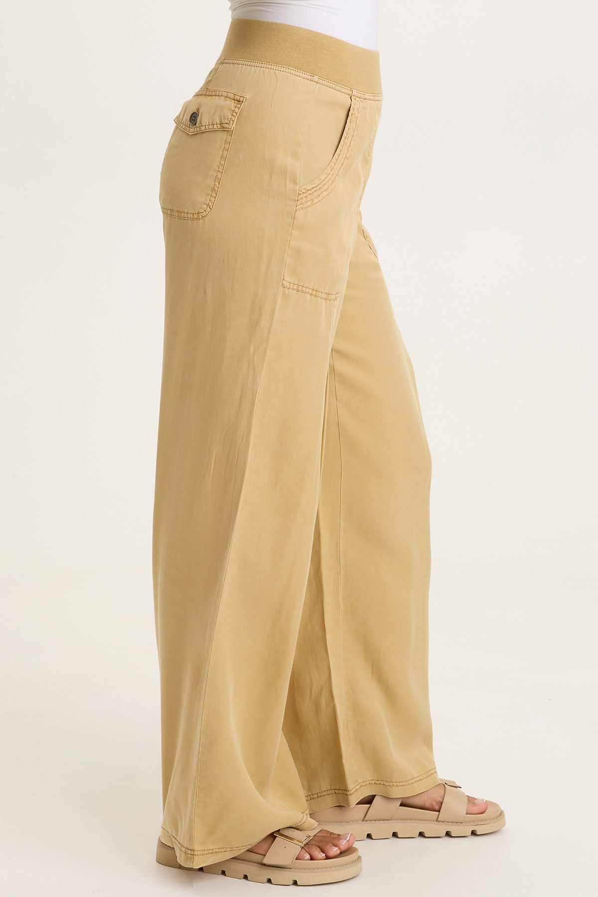 Dacia Tencel Twill Pleated Wide Leg Pull-On Waist Pant Sepia Pigment - XCVI
