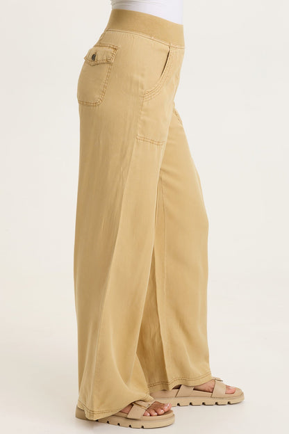 Dacia Tencel Twill Pleated Wide Leg Pull-On Waist Pant Sepia Pigment - XCVI