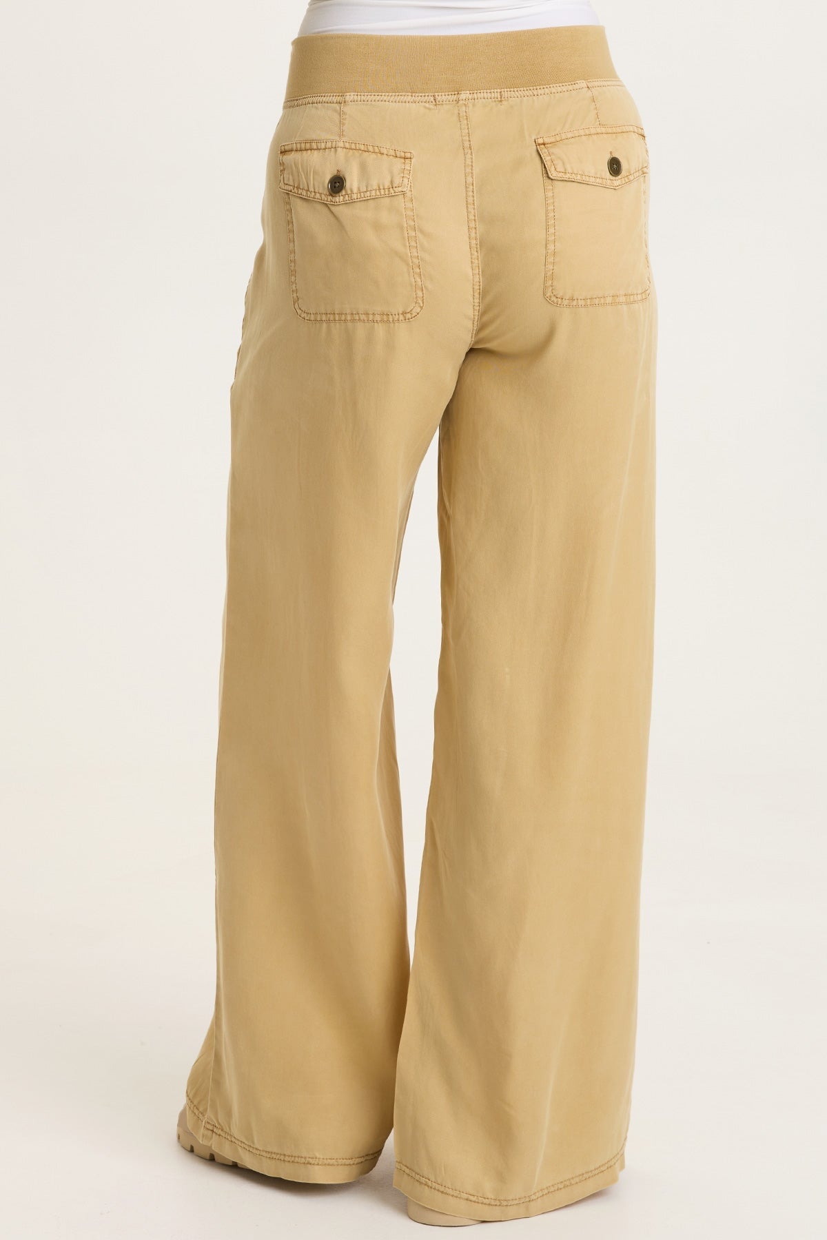 Dacia Tencel Twill Pleated Wide Leg Pull-On Waist Pant Sepia Pigment - XCVI
