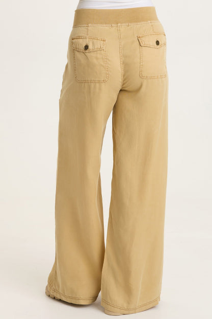 Dacia Tencel Twill Pleated Wide Leg Pull-On Waist Pant Sepia Pigment - XCVI